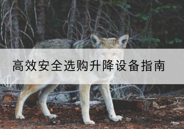 朔城升降货梯厂家推荐-*安全选购升降设备指南