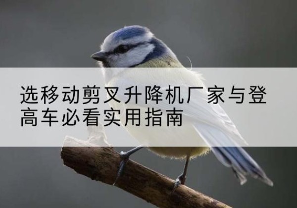 朔城电动升降机厂家-选移动剪叉升降机厂家与登高车必看实用指南
