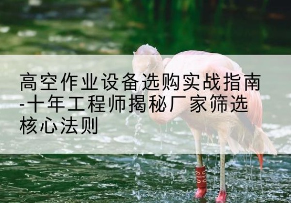 朔城剪叉式升降机厂家-高空作业设备选购实战指南-十年工程师揭秘厂家筛选核心法则